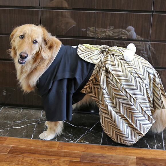 犬 服 袴 Idog 中大型犬用 愛犬用家紋付袴 アイドッグ 犬 服 犬服 犬の服 ラージ 大型犬 中型犬 おしゃれ 秋 冬 秋冬 冬用 着物 晴れ着 和服 お祝い 正装 正月 年賀状 犬用 犬用品 ペット ペット用 きもの はかま