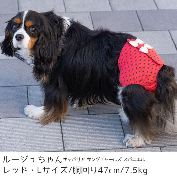 市場 サニタリーパンツ メール便ok 水玉リボン 服 Idog アイドッグ 犬 マナーパンツ 翌日配送 あす楽