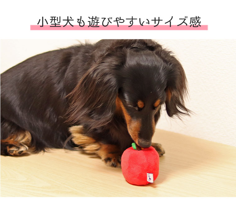 小型犬も遊びやすい小さめサイズ