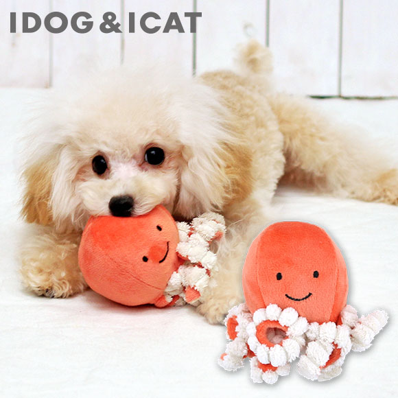 楽天市場 犬 おもちゃ Idog Icat にょろにょろタコさん 鳴き笛入り アイドッグ あす楽 翌日配送 布製 ぬいぐるみ ドッグトイ 犬のおもちゃ 玩具 笛入り 音 鈴 超小型犬 小型犬 犬用 I Dog 楽天 犬の服のidog