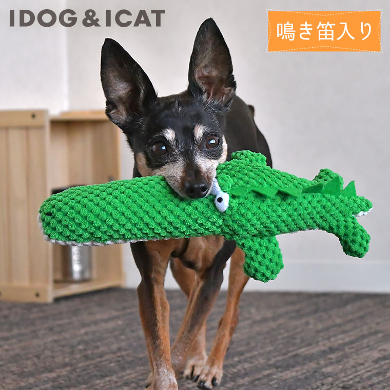 高評価なギフト iDog のびのびなっとう 鈴とカシャカシャと鳴き笛入り アイドッグ