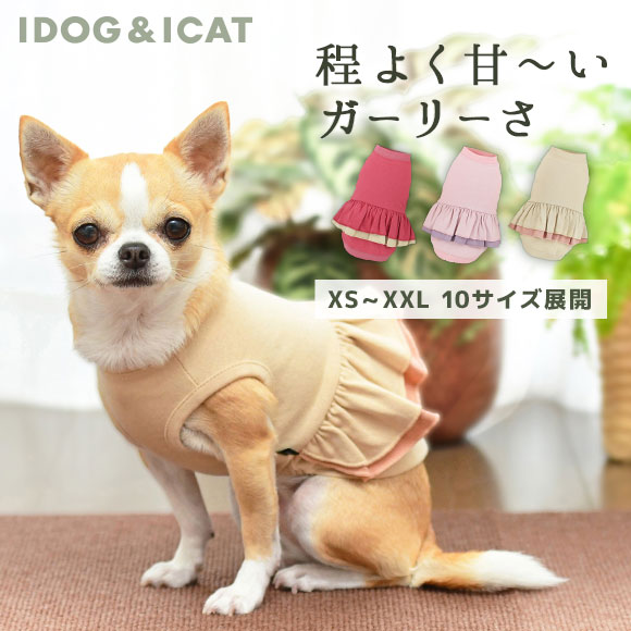 タンク 国産品 犬 服 【正規品】 iDog 切替フリルタンク アイドッグ メール便OK あす楽 翌日配送 春夏 春服 夏服 ドッグウェア ペットウェア チワワ 春物 フリル 女の子 i 楽天 dog プードル 犬の服