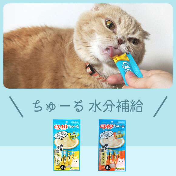 楽天市場 猫 おやつ Ciao ちゅーる 水分補給 猫のおやつ 猫用おやつ キャットフード ペット ペットフード Icat I Dog 楽天 あす楽 翌日配送 犬の服のidog