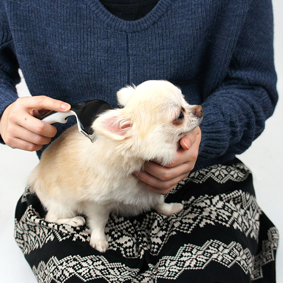 楽天市場 犬猫 ブラシ Idog Icat Groomieグルーミー 抜け毛スッキリ アンダーコートケアブラシ グルーミング アンダーコート ケアブラシ コーム ブラッシング 抜け毛 被毛ケア 除毛 無駄毛 Icat I Dog 楽天 あす楽 翌日配送 犬の服のidog