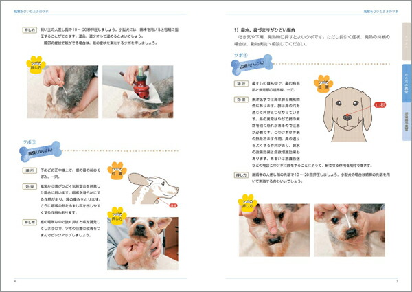 楽天市場 犬のツボ押しbook 医道の日本社 楽天市場店