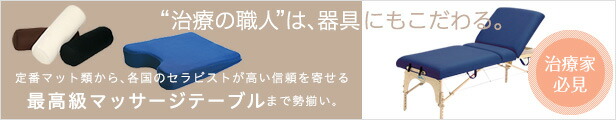 経穴主治症総覧 | 池田 政一 |本 | 通販 | Amazon