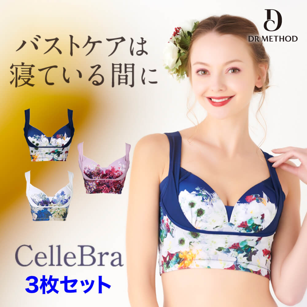 送料無料 Cellebra 3枚セット グレースラベンダー クラッシーネイビー サムシングブルー セレブラ ナイトブラ 育乳 バストアップ バスト補整 流れ胸 離れ胸 垂れ胸 バスト パワーメッシュ ノンワイヤー 脇肉 補整ブラ おうち時間 Seal限定商品 Www Faan Gov Ng