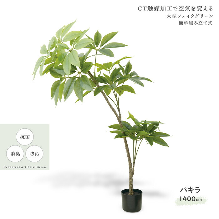 キシマ 組立式 CTアーティフィシャルグリーン パキラ KH-61393 エクリア 消臭・抗菌 大型フェイスグリーン