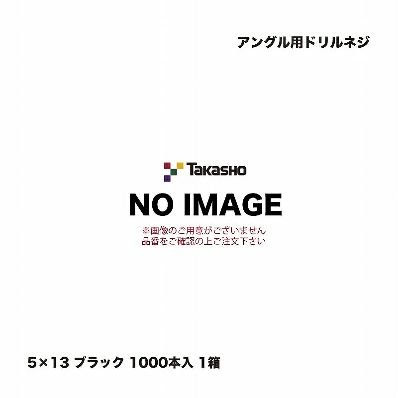 タカショー アングル用ドリルネジ 5×13 ブラック 1000本入 1箱