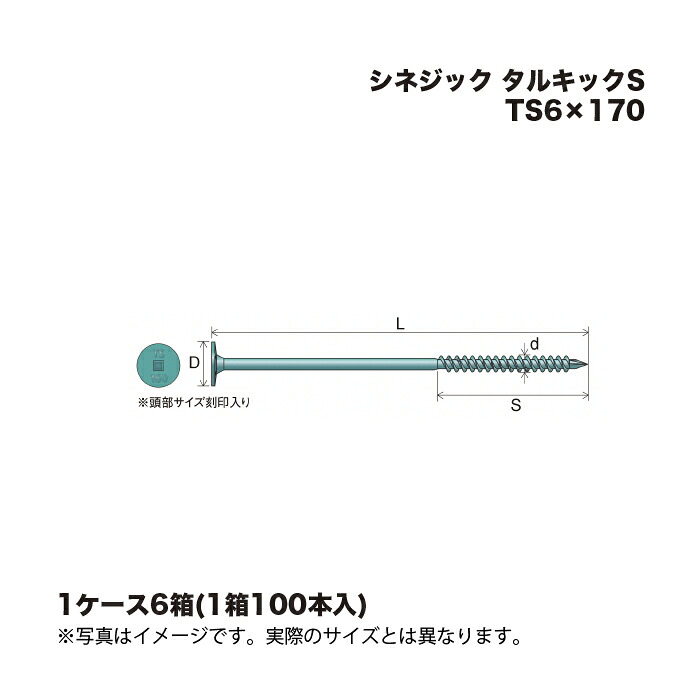(1容れもの6箱) シネジック タルキックS TS6×170 100本