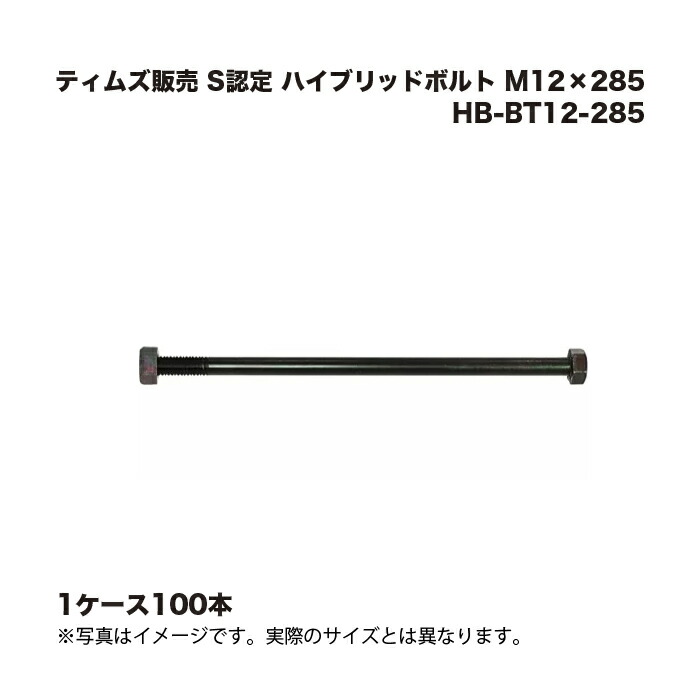 (1入れもの100本) ティムズ売りわたす S御墨付き 変わり種雄捻子 M12×285 HB-BT12-285