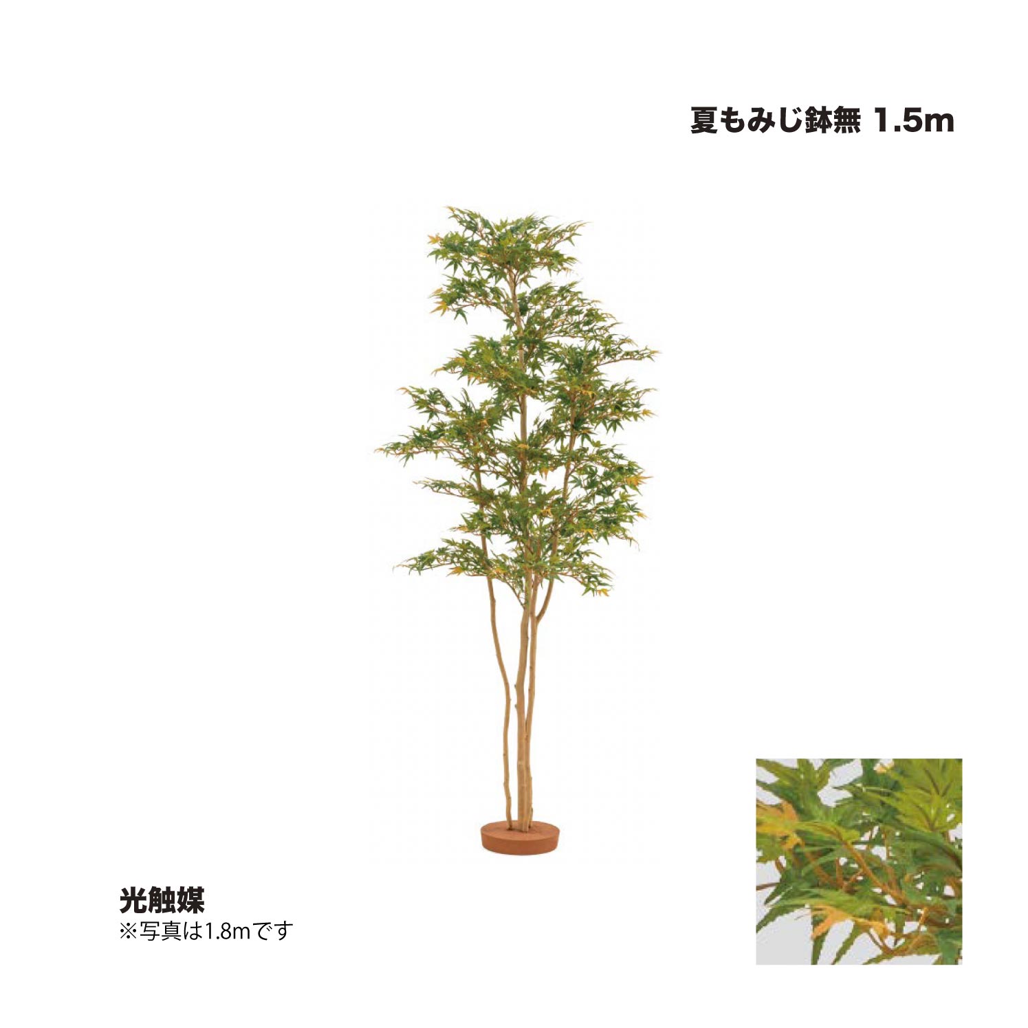 タカショー 夏もみじ鉢無 1.5m 光触媒 1台 ※直送／個人宅不可