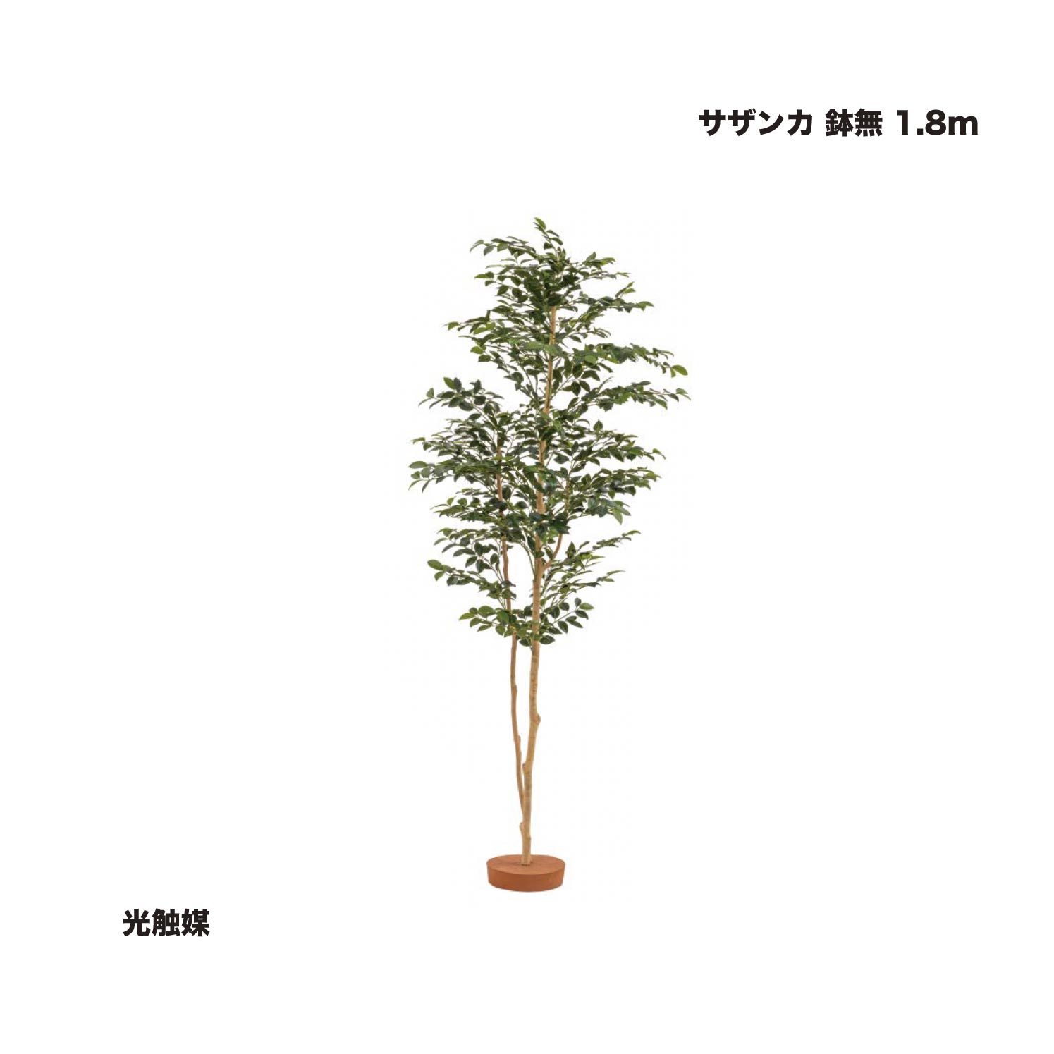 タカショー サザンカ 鉢無 1.8ｍ 光触媒 1台 ※直送／個人宅不可