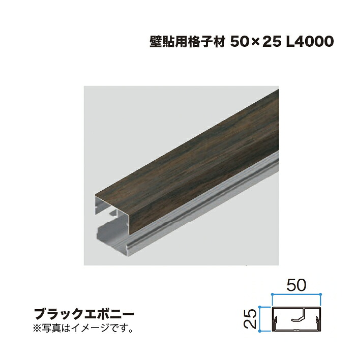 タカショー 壁貼用格子材 50×25 L4000 ブラックエボニー 1本 ※直送/個人宅不可