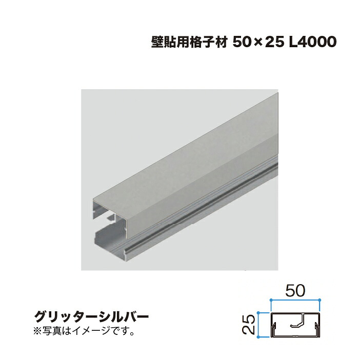 タカショー 壁貼用格子材 50×25 L4000 グリッターシルバー 1本 ※直送／個人宅不可