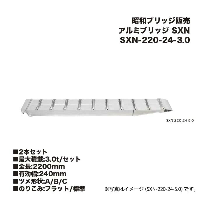 (2本仕掛ける) 昭和ブリッジ回路売りわたす SXN-220-24-3.0 軽銀ブリッジ回路 SXN 小型・中型・大型建機用 鉄シュー・ゴムシュー用 アルインコ