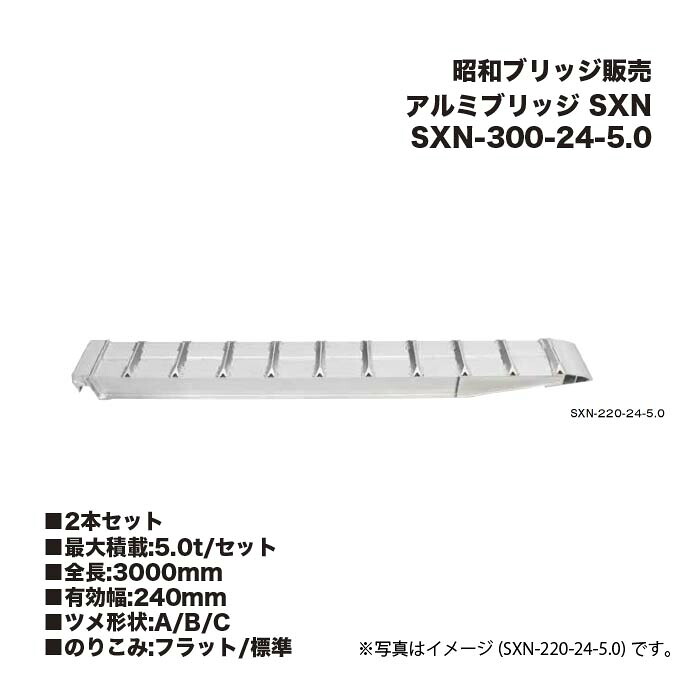 (2本書き割り) 昭和ブリッジ回路売りわたす SXN-300-24-5.0 軽銀ブリッジ回路 SXN 小型・中型・大型建機用 鉄シュー・ゴムシュー用 アルインコ