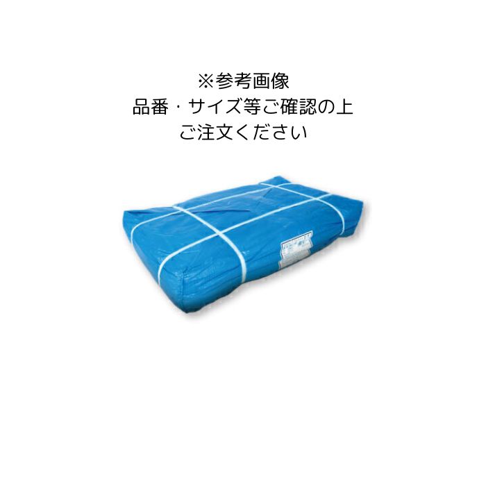 10枚入 青み居敷き #2000  2間3間(約3.6m×5.4m)  中朦々たるまとめ買い 1箱