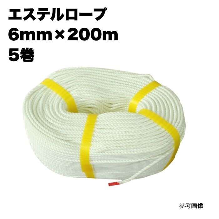5巻 エステルロープ 6mm×200m まとめ買い 1箱