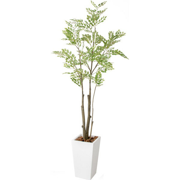 直送品 タカショー Gd 232 トネリコ ツリー 光触媒 人工観葉植物 Elteachermurcia Com