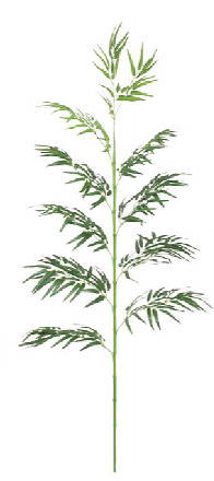 タカショー GD-176L 河原笹 カワラザサ （光触媒） 1.8ｍ (人工観葉植物) 33460501 ※直送／個人宅不可｜家づくりと工具のお店　家ファン！ 12,778円
