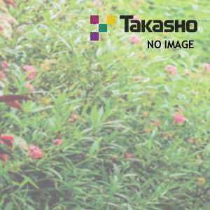 タカショー W2000対応千本格子ユニット・縦貼ユニットH2000用センター柱 ナチュラルパイン
