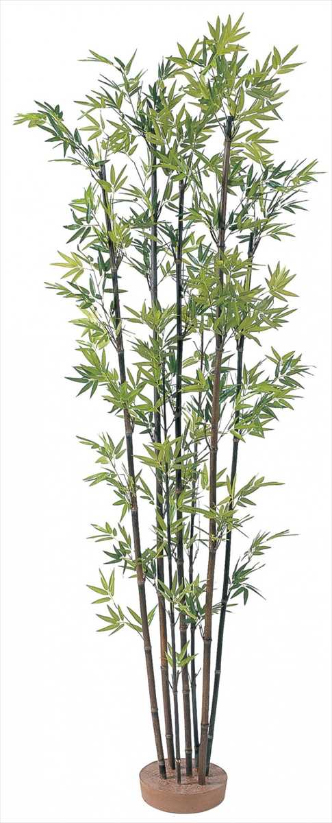 タカショー GD-50L 黒竹7本立鉢無 1.8m 光触媒 人工植栽 人工観葉植物 ※直送/個人宅不可|家づくりと工具のお店 家ファン!