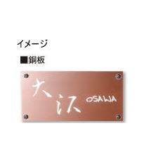タカショー DCP-04 ディーサイン メタル 100&times;200 銅板 100V ※直送／個人宅不可｜家づくりと工具のお店　家ファン！