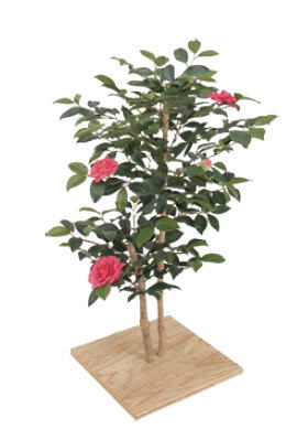 タカショー GD-13N 21428001 ミニサザンカ 花付 60cm 光触媒|家づくりと工具のお店 家ファン!