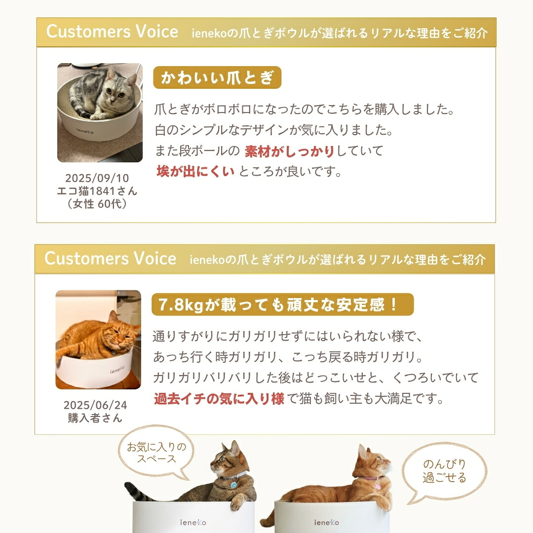 ieneko 公式 爪とぎ 段ボール とぎカスが出ない 爪研ぎ ボウル ダンボール ベッド 丸 猫ベッド すり鉢 ゴミが出ない 丈夫 長持ち 頑丈 耐久 インテリア ホワイト おしゃれ シンプル 送料無料 いえねこ イエネコ