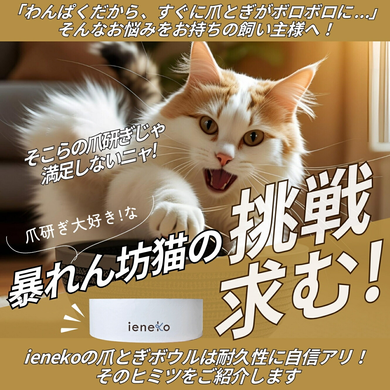 ieneko 公式 爪とぎ 段ボール とぎカスが出ない 爪研ぎ ボウル ダンボール ベッド 丸 猫ベッド すり鉢 ゴミが出ない 丈夫 長持ち 頑丈 耐久 インテリア ホワイト おしゃれ シンプル 送料無料 いえねこ イエネコ