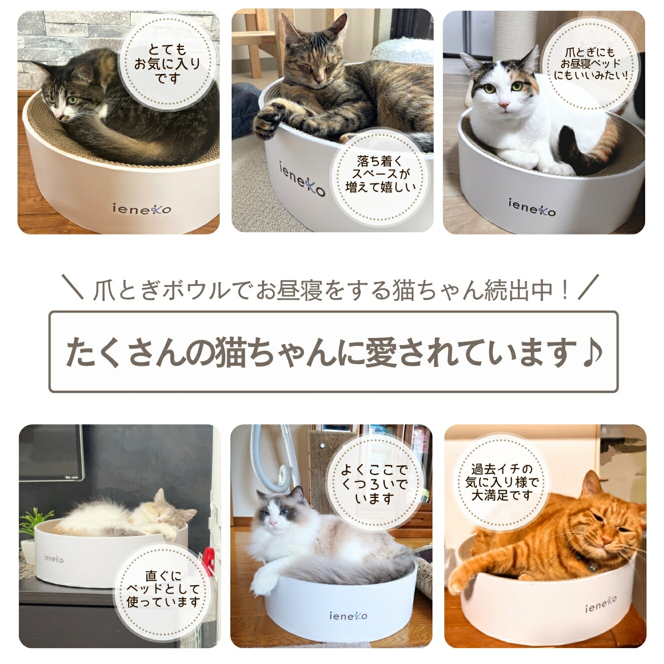ieneko 公式 爪とぎ 段ボール とぎカスが出ない 爪研ぎ ボウル ダンボール ベッド 丸 猫ベッド すり鉢 ゴミが出ない 丈夫 長持ち 頑丈 耐久 インテリア ホワイト おしゃれ シンプル 送料無料 いえねこ イエネコ