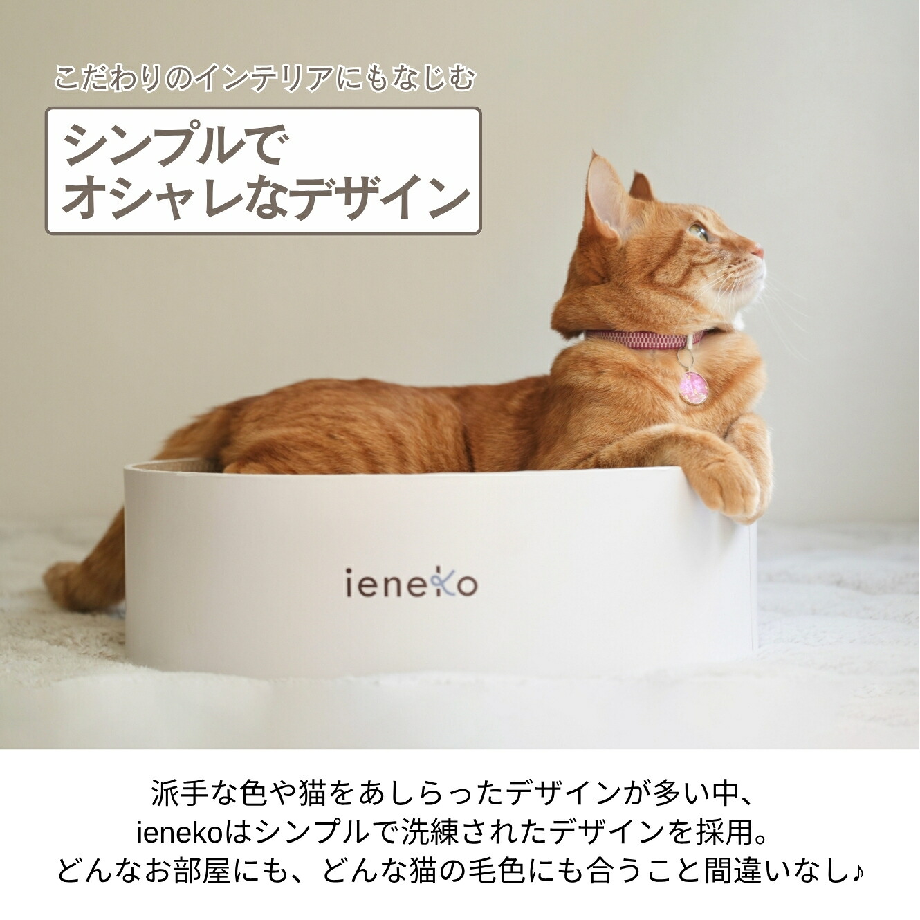 ieneko 公式 爪とぎ 段ボール とぎカスが出ない 爪研ぎ ボウル ダンボール ベッド 丸 猫ベッド すり鉢 ゴミが出ない 丈夫 長持ち 頑丈 耐久 インテリア ホワイト おしゃれ シンプル 送料無料 いえねこ イエネコ