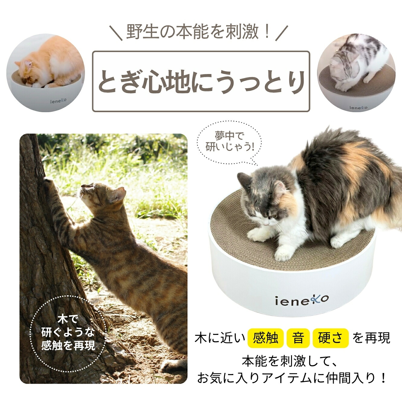 ieneko 公式 爪とぎ 段ボール とぎカスが出ない 爪研ぎ ボウル ダンボール ベッド 丸 猫ベッド すり鉢 ゴミが出ない 丈夫 長持ち 頑丈 耐久 インテリア ホワイト おしゃれ シンプル 送料無料 いえねこ イエネコ