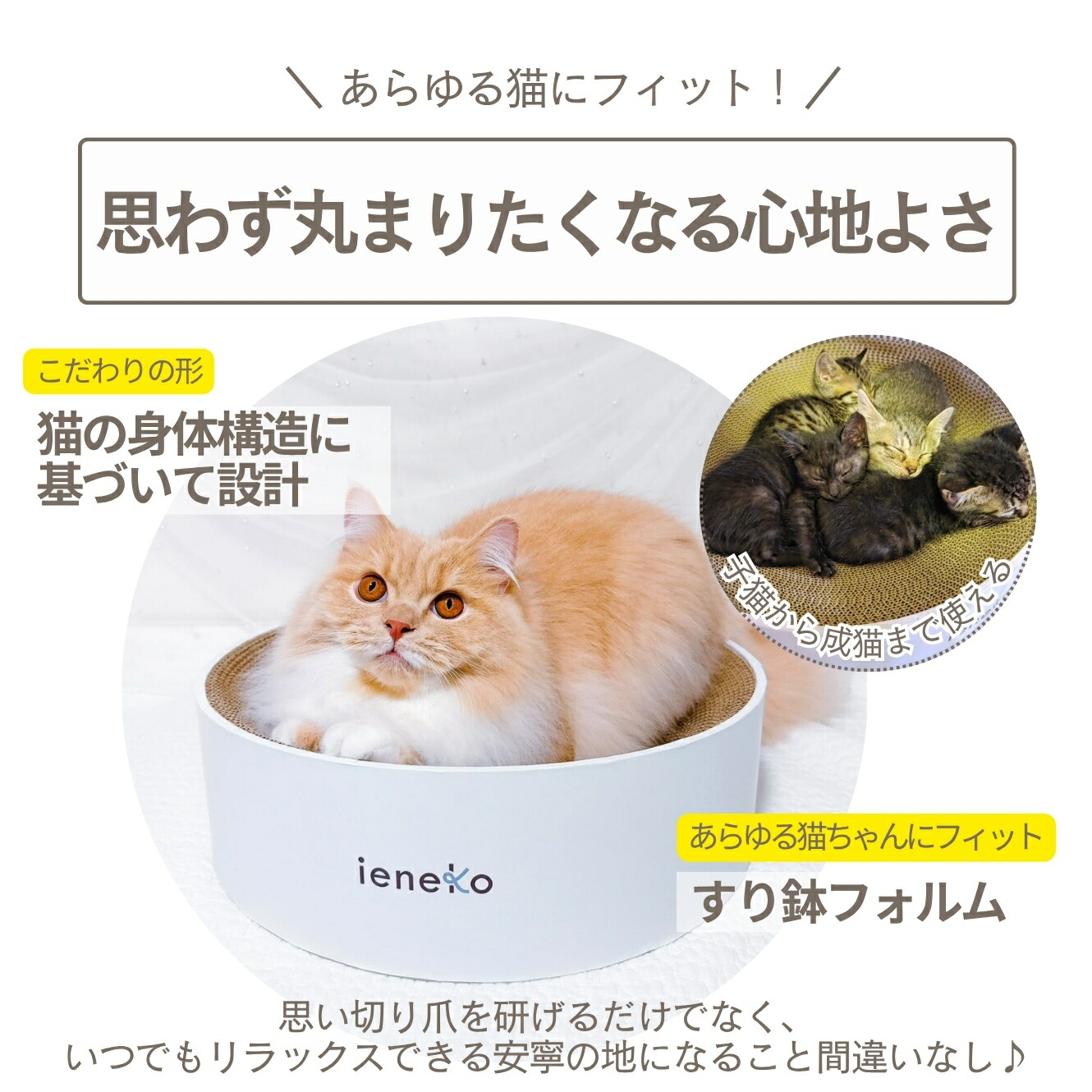 ieneko 公式 爪とぎ 段ボール とぎカスが出ない 爪研ぎ ボウル ダンボール ベッド 丸 猫ベッド すり鉢 ゴミが出ない 丈夫 長持ち 頑丈 耐久 インテリア ホワイト おしゃれ シンプル 送料無料 いえねこ イエネコ