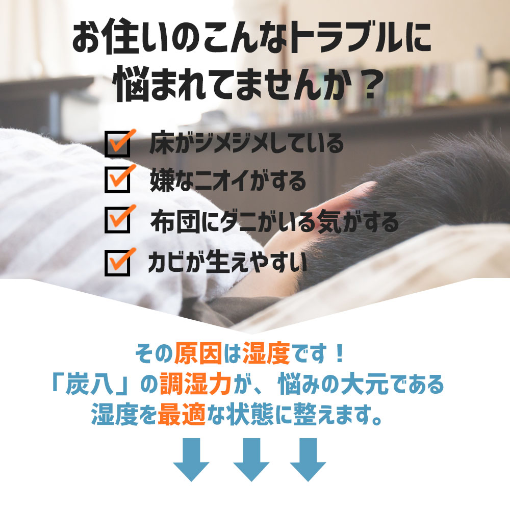 炭八で調湿実感 炭八トライアル8Lセット お試しセット 室内 湿気取り 湿気とり 8L 大袋 湿気対策 室内 玄関 下駄箱 湿気 除湿 調湿 脱臭 車内