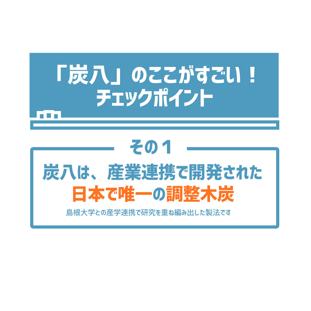 炭八で調湿実感 炭八トライアル8Lセット お試しセット 室内 湿気取り 湿気とり 8L 大袋 湿気対策 室内 玄関 下駄箱 湿気 除湿 調湿 脱臭 車内 炭八で調湿実感 炭八トライアル8Lセット お試しセット 室内 湿気取り 湿気とり 8L 大袋 湿気対策 室内 玄関 下駄箱 湿気 除湿 調湿 脱臭 車内