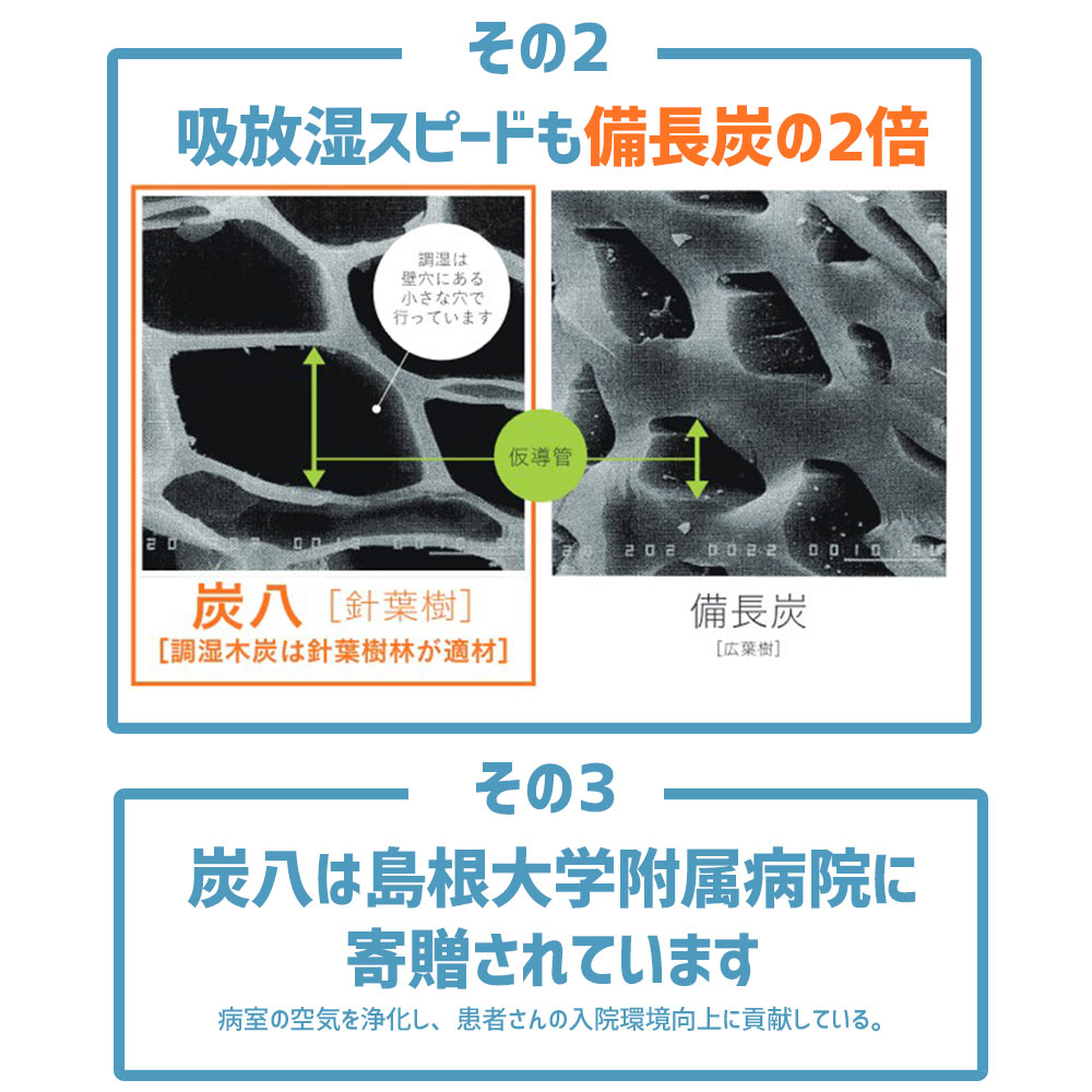 炭八で調湿実感 炭八トライアル8Lセット お試しセット 室内 湿気取り 湿気とり 8L 大袋 湿気対策 室内 玄関 下駄箱 湿気 除湿 調湿 脱臭 車内