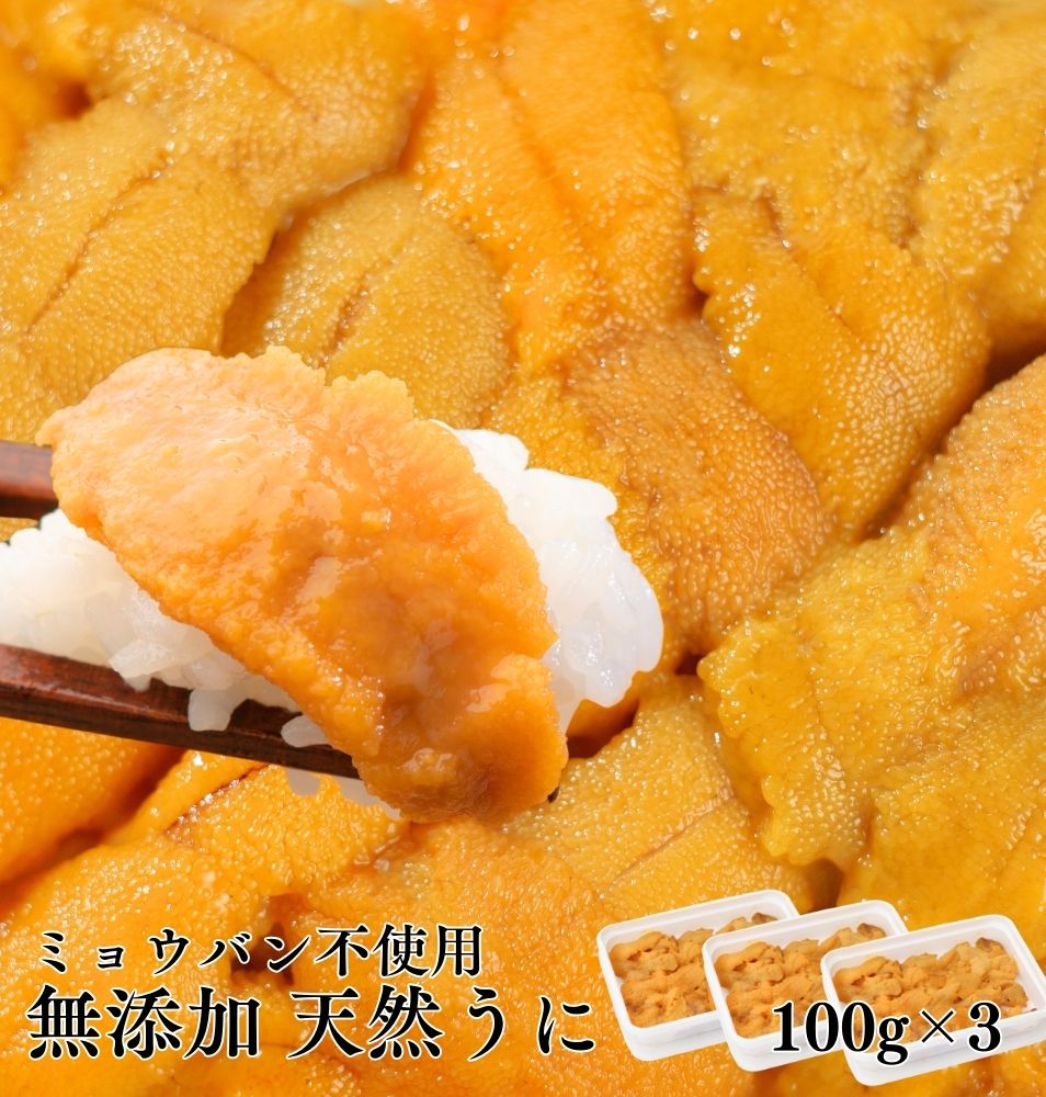 ウニ うに 300g(100g×3パック) 無添加 雲丹 冷凍うに 冷凍ウニ ミョウバン不使用 お取り寄せ 海鮮 魚卵 冷凍 高級グルメ 海鮮ギフト プレゼント ギフト 冷凍海鮮 取り寄せ 美味しい うに丼 軍艦巻き 寿司 海鮮丼の具 冷凍海鮮丼 うに通販 海鮮贈り物