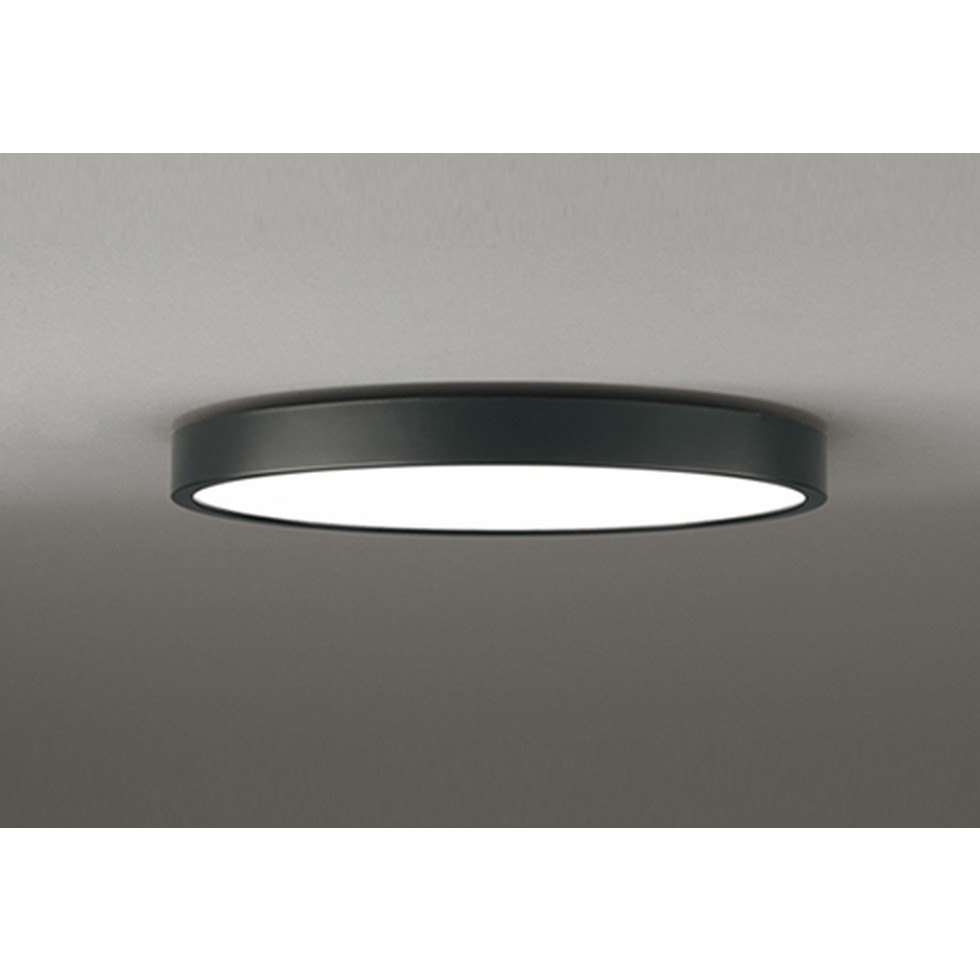 楽天市場】オーデリック[OL291422BR]シーリングライト : 家store