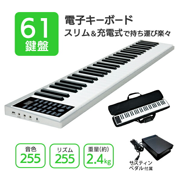 54 Off 電子キーボード 演奏 音楽 鍵盤 楽器 練習 キーボード 充電式 軽量 簡単なポップス クラシックの演奏 サスティンペダル付き ステージ 自宅 野外 サウンド 送料無料 Sr Dp05 プレイタッチイージー Fucoa Cl