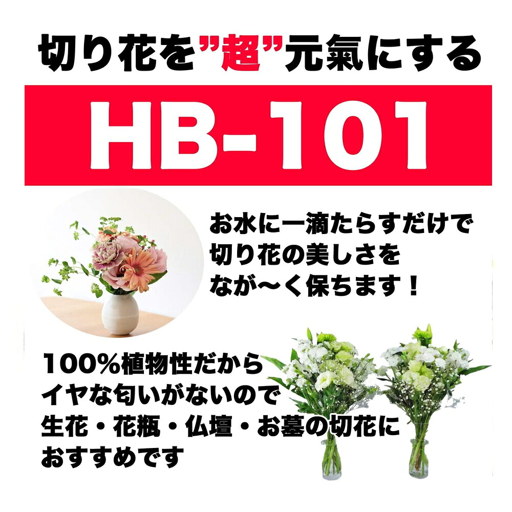 15日はポイント5倍 植物活力剤 バイオ 天然 ガーデニング ガーデン 花 園芸 植物 栽培 野菜作り 有機栽培 栄養分 原液 フローラ Hb 101 5l Deerfieldtwpportage Com