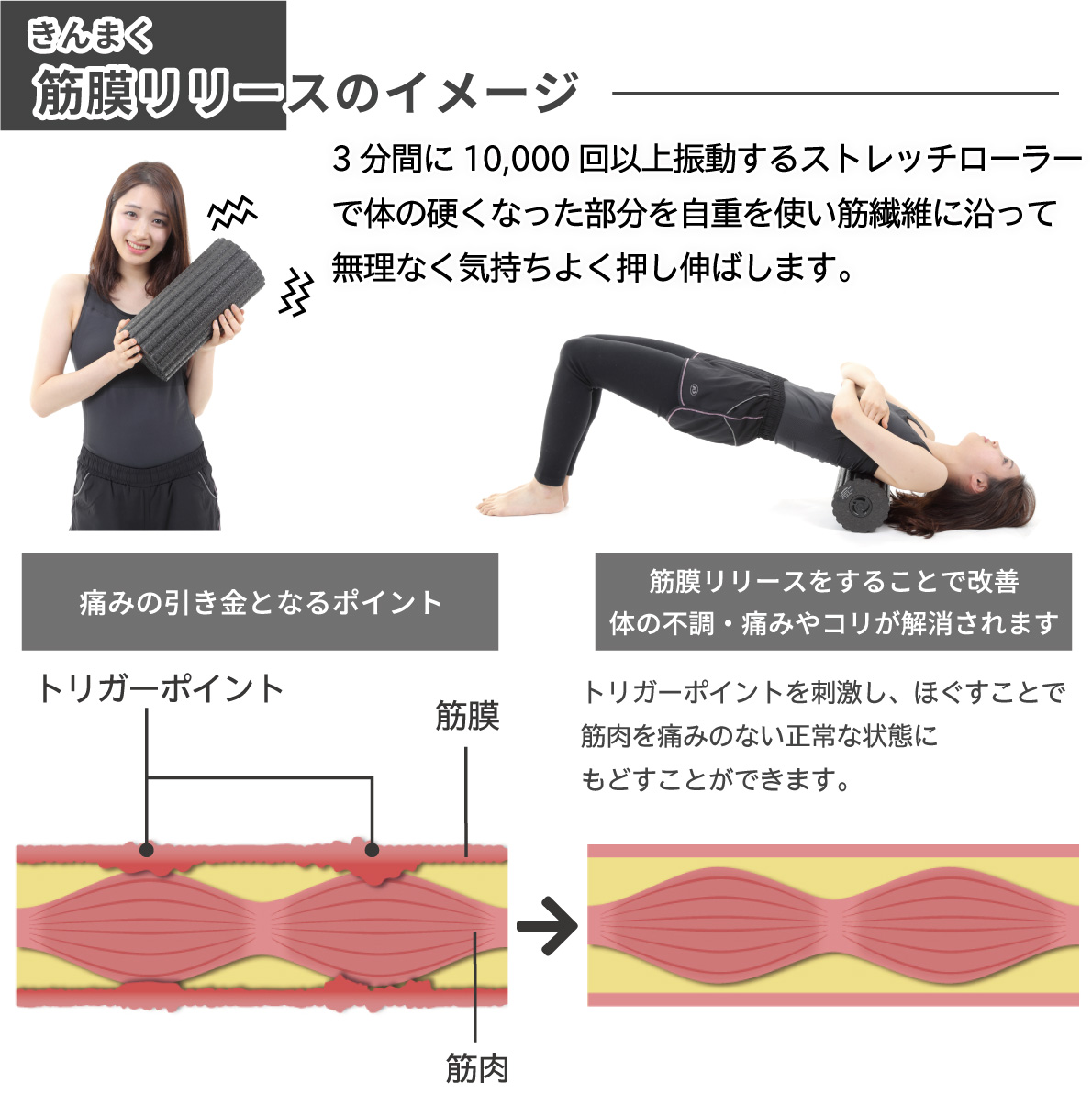 トリガーポイントとは【肩こり・腰痛の真 ...