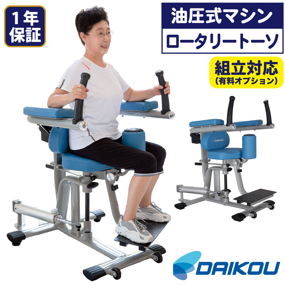 油圧器械 DK-670 ロータリートーソ 円形交差点トルソー 形づくる器械 油圧式 筋力形づくる 役立つこと読み合わせる 社会復帰 介護止めること 老いらく者 準御勤め用 シニアフィットネス 低厄介なもの 安全性のある心積もり 12度合い厄介なもの 電気回路形づくる ホスピタル デイサービス 腹斜筋 腹直筋 DAIKOU 大広