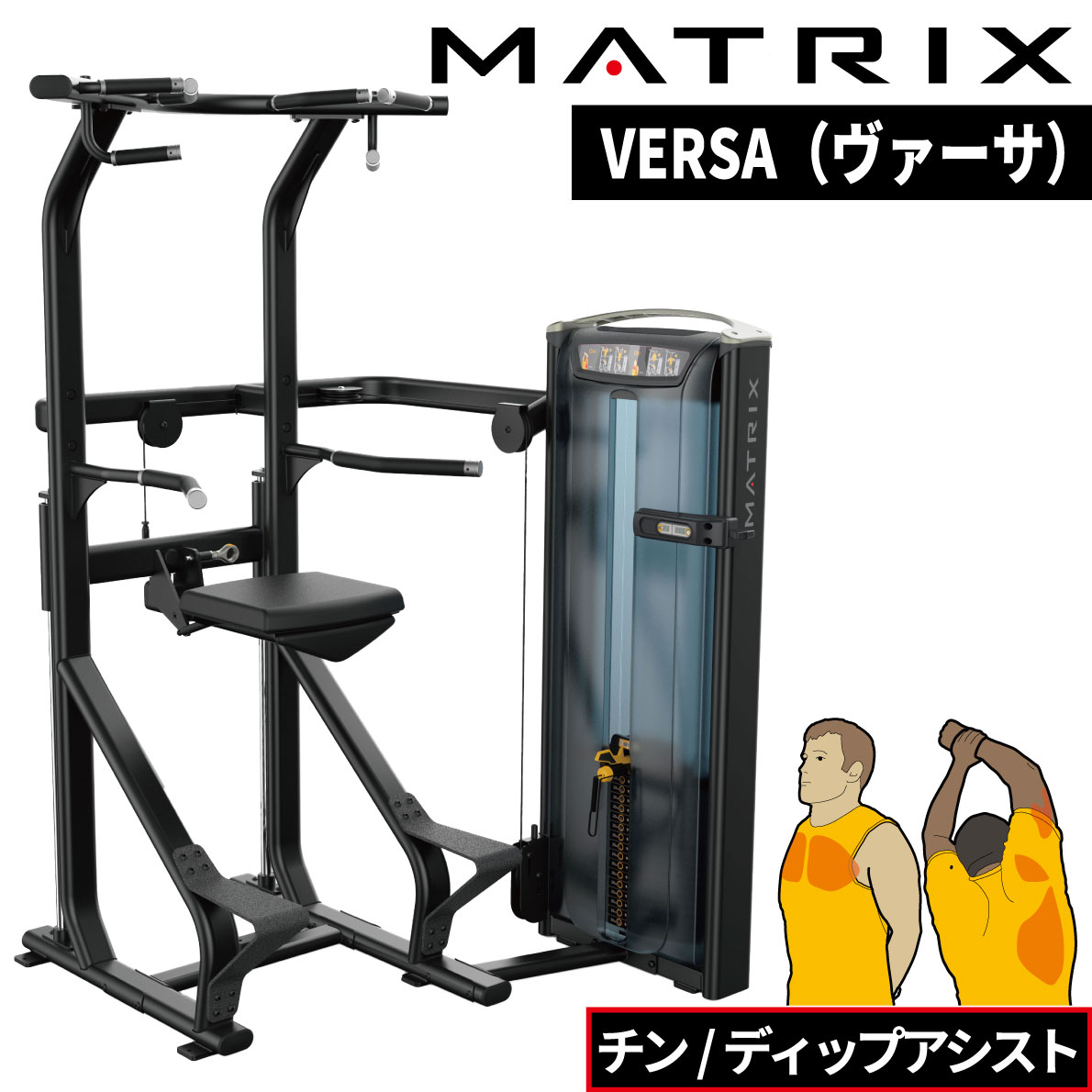 KGT DISC STABILIZER | SIXTH ELEMENT（シックス エレメント