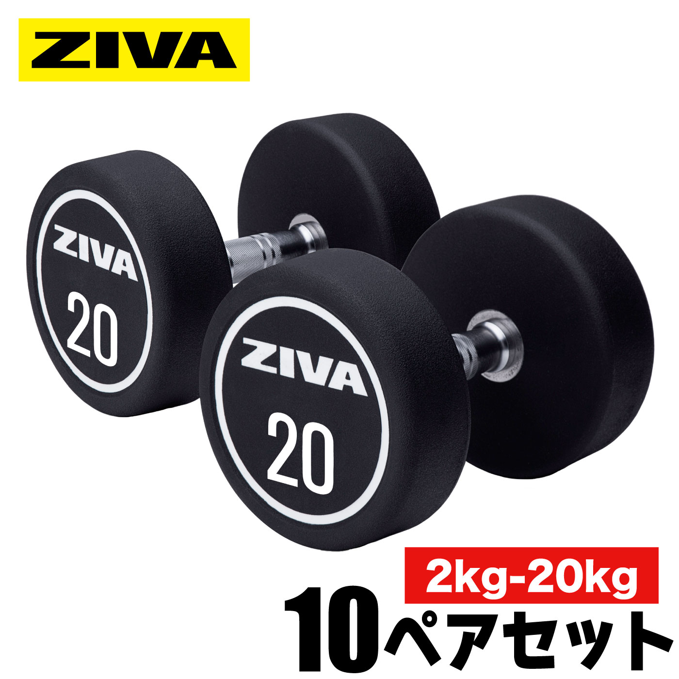 Lifefitness 22kgダンベル 1個 Lifefitness 22kgダンベル 1個