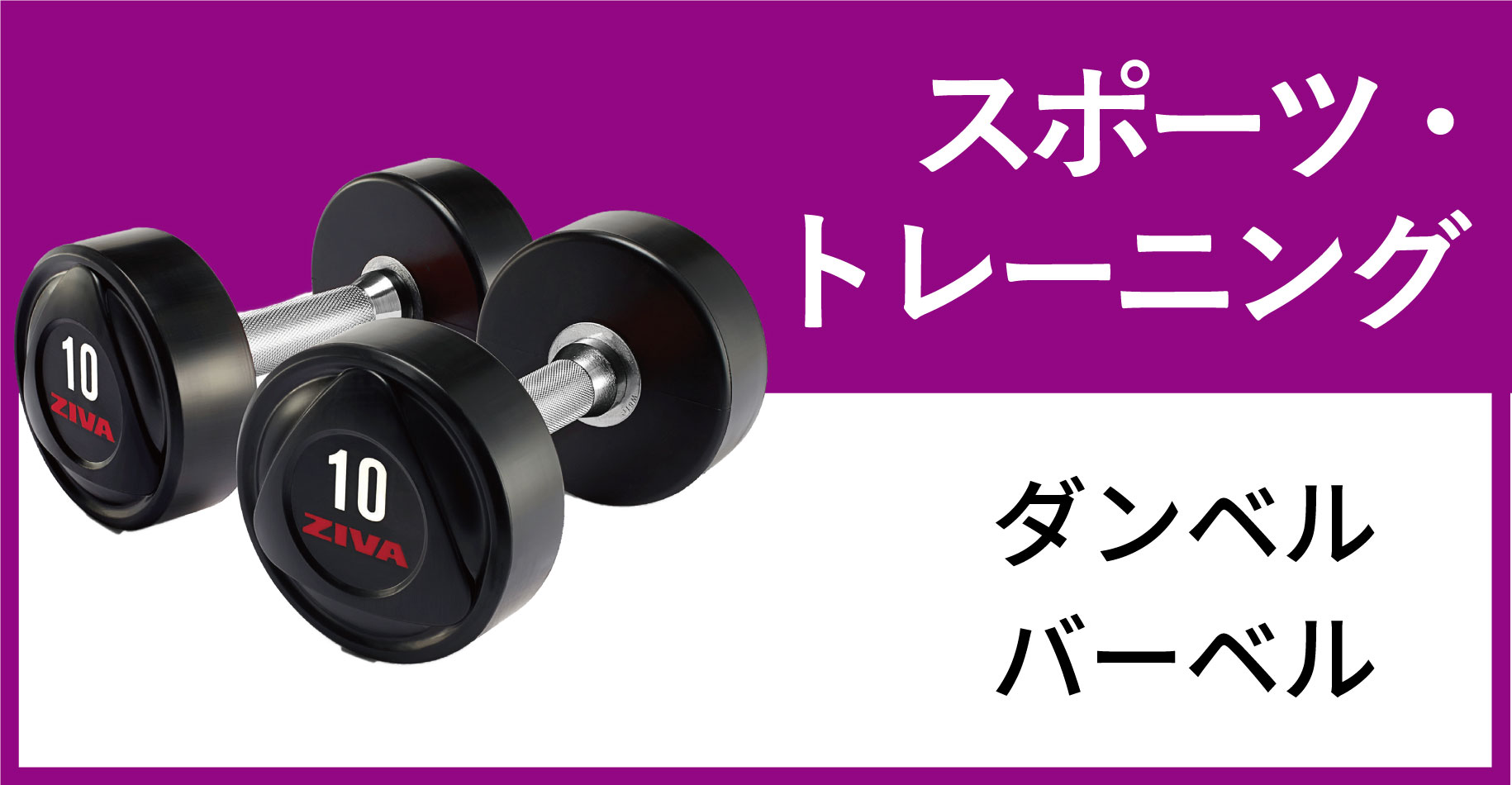 楽天市場】 スポーツ・トレーニング > ダンベル・バーベル・プレート