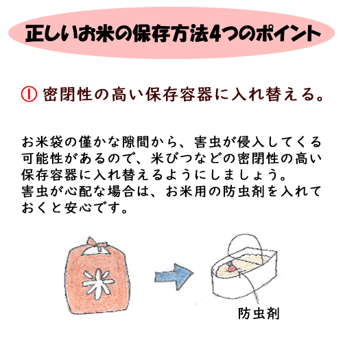 新米 三重県産コシヒカリ 令和4年産 米ぬか無料 玄米20kg(10kg×2袋