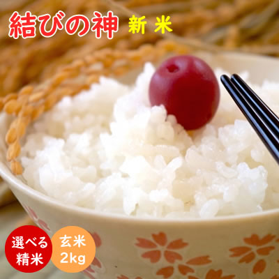 営業 米 2kg 送料無料 コシヒカリ こしひかり 特別栽培米農薬を必要としない丈夫な稲 肥料 土作りからこだわりました 令和3年産 伊賀米コシヒカリ 三重県伊賀産 玄米2kg みえの安心食材認定米 有機肥料使用 米ぬか無料 精米無料 白米 無洗米 3分づき 5分づき 7分づき 胚芽米 learnrealjapanese.com 営業 米 2kg 送料無料 コシヒカリ こしひかり 特別栽培米農薬を必要としない丈夫な稲 肥料 土作りからこだわりました 令和3年産 伊賀米コシヒカリ 三重県伊賀産 玄米2kg みえの安心食材認定米 有機肥料使用 米ぬか無料 精米無料 白米 無洗米 3分づき 5分づき 7分づき 胚芽米 learnrealjapanese.com