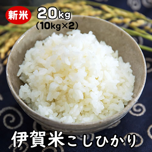 【楽天市場】伊賀米コシヒカリ 特A 玄米20kg (10kgx2袋) 送料無料
